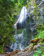 One high cascade of remote and desolate Yalynskyi waterfall with water drops falling against rocky slope. Verdant plants, trees and logs on the foreground. Summer day, Carpathian mountains, Ukraine