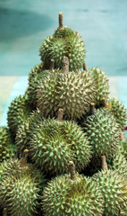 Pile of Durian, an oval spiny tropical fruit containing a creamy pulp. it is highly esteemed for its flavor.