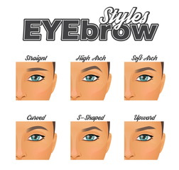 Various eyebrow shapes make-up chart