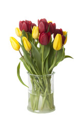Red and yellow tulips in a glass vase isolated on white background