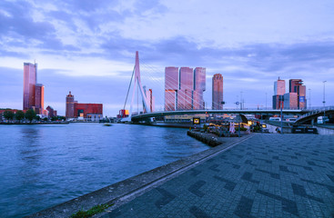 Skyline of Rotterdam during golden hour
