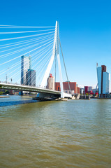 The architectures and landscapes of Rotterdam