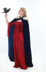 beautiful lady with long blonde hair wearing a red medieval fantasy gown. standing, isolated on...