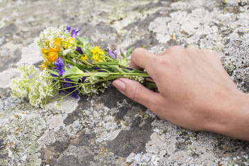 women's hands holding wild flowers