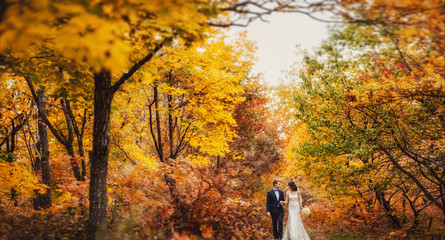 Wedding couple on a walk in the autumn park