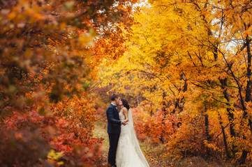 Wedding couple on a walk in the autumn park