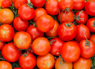 A lot of tomato