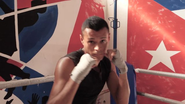 Beautiful latin american male boxer in boxing guard stance looking at camera.