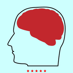 Head with brain  it is color icon .