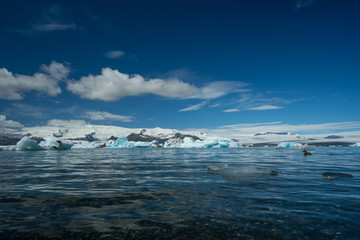 Obraz premium Iceland - Clear water of glacial lake with boat far between ice floes