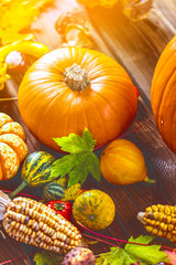 Kürbis (Herbst Dekoration)