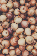 Organic onion gathered at ecological farm, background