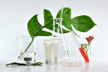 Cosmetic bottle containers with green herbal leaves and scientific glassware, Blank label package for branding mock-up, Research and develop natural organic beauty skincare product concept.