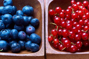 Blueberries and red currants
