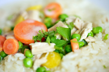 Chicken Rice and Vegetables