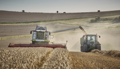 Combine harvesting wheat in a field in the South Downs