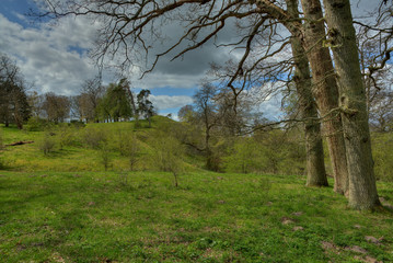 Obraz premium Early spring in the countryside