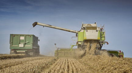 Combine harvesting wheat in a field in the South Downs