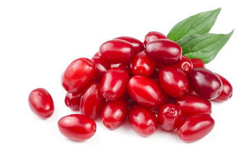 dogwood berry with leaf isolated on white background