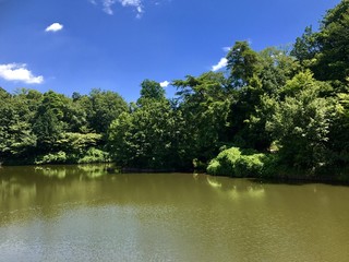 池と空