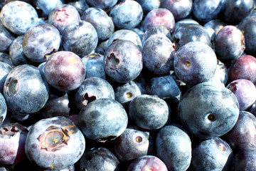 Blaubeeren