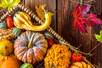 Kürbis (Herbst Dekoration)