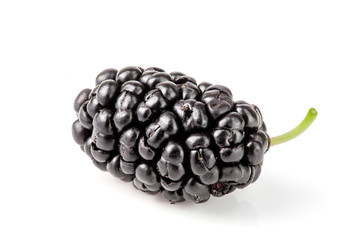 Mulberry berry isolated on white background macro