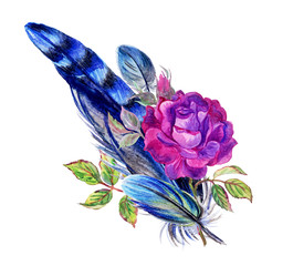 Bird feathers and a rose, a decorative bouquet. Flower watercolor illustration on a white background with clipping path.