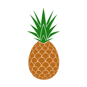Pineapple. Vector.