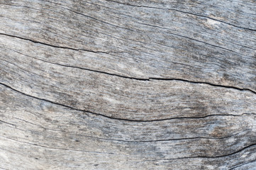 Wood texture / Rustic gray wood background with structural effect.
