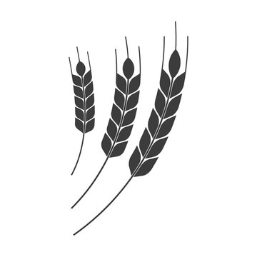 recommend clip art: Wheat spike. Vector.