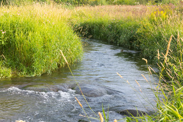Creek in the field