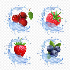 Forest berry juice. Realistic illustration of fruit fresh vector icon