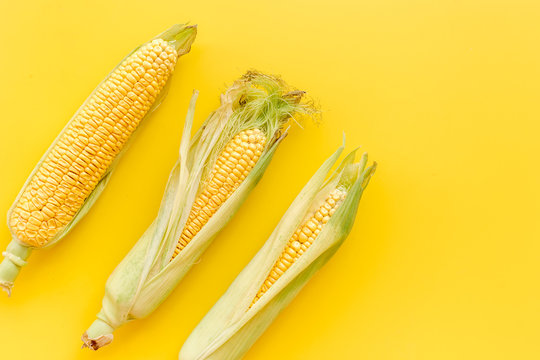 Corn on cobs on yellow background top view copyspace