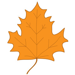 Obraz premium Maple leaf orange sign 4.07