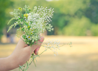 Fototapeta na wymiar Hand with a bouquet of wild chamomile flowers against the green background (shallow DOF, selective focus, copyspace on the right), retro style