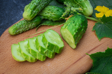 Fresh green cucumbers on a twig