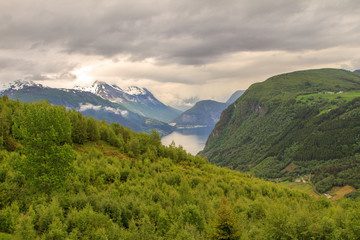 Norwegian nature with a fjord