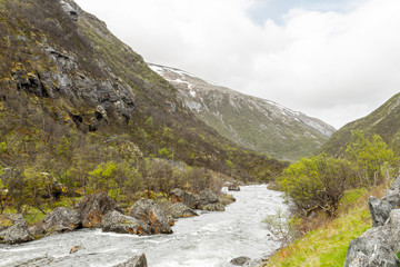 Nature of the forest and mountain rivers in Norway