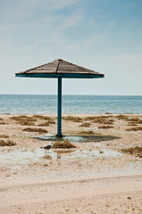 The parasol and seagull on empty sandy beach