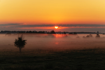 Fototapeta na wymiar Beautiful sunrise fog
