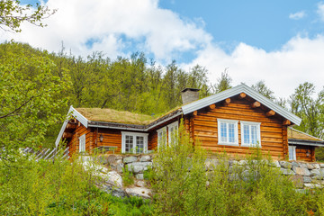Colorful lonely Norwegian houses