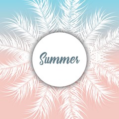 Tropical design with white palm leaves and plants on gradient background with text