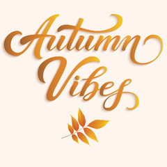 Hand drawn lettering - Autumn Vibes with autumn leaves. Elegant modern handwritten calligraphy. Vector Ink illustration. Typography poster on dark background. For cards, invitations, prints etc.