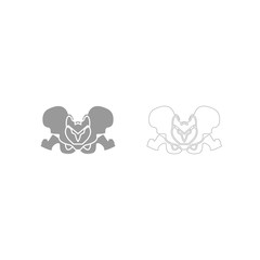 Pelvis skeleton grey set icon .