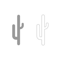 Cactus grey set icon .