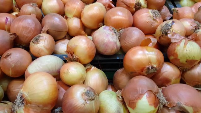 Pile of big brown onions in market, pan motion 