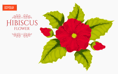 Card with hibiscus flower isolated on white. Vector illustration