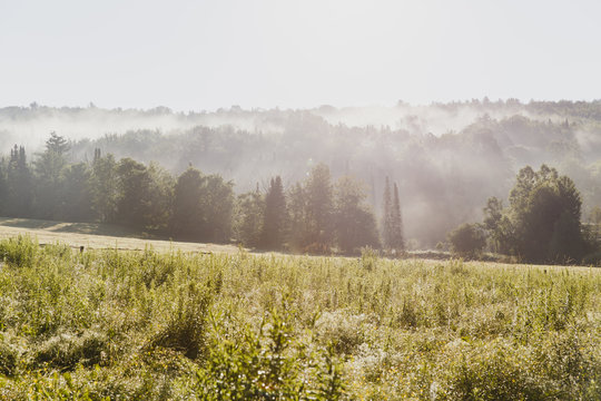 USA, Vermont. Fog arises from the forest while the rising sun lights the scene.