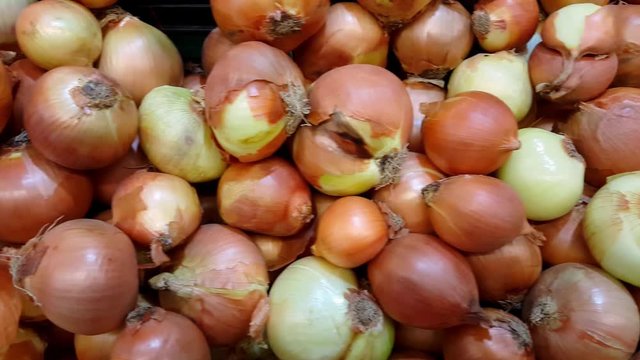Pile of big brown onions in market, pan motion 
